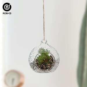 観葉植物 多肉植物 テラリウムの人気商品 通販 価格比較 価格 Com