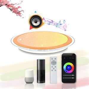 OFFDARKS LED V[OCg 10 AlexaΉ Xs[J[ Bluetooth RGB  VƖ F ?x Rt RGBJ[ ͋CCg @\ 铔 ȃGl ߓd Hsv 