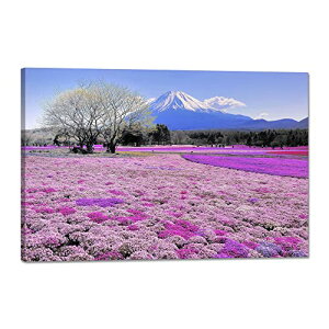 |X^[ i R ^ _A[g Ǌ| i G CeA  G  A[gpl ԕxm ʐ^ R̊G   Ǌ| ؘgt̊i(40x60cm)
