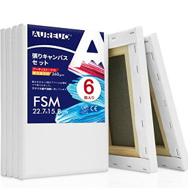 AUREUO 張りキャンバス セット FSM (22.7cmX15.8cm) 中目 綿化繊混紡 6枚 初心者 絵画用具 芸術絵創作 現代油絵 美術装飾 水彩画・油絵画・アクリル兼用