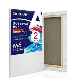 AUREUO LoX Zbg M6 (41cmX24.2cm)  ȉ@a 2 S Gp |pGn G p ʉEGEANp