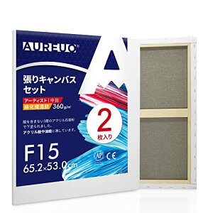 AUREUO LoX Zbg F15 (65.2cmX53cm)  ȉ@a 2 S Gp |pGn G p ʉEGEANp