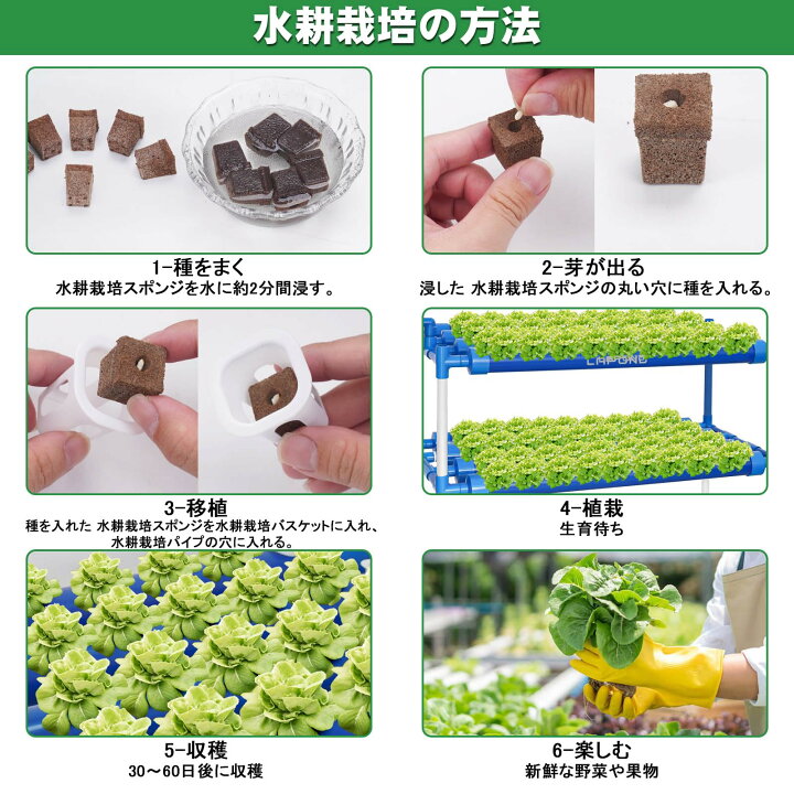 楽天市場】【2024高級版】LAPOND水耕栽培システム 4列3層 青い食品級 