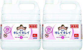 【業務用 大容量】キレイキレイ 薬用 泡ハンドソープ シトラスフルーティの香り 液体 単品 4L(医薬部外品) × 2個セット コストコ 全国一律送料無料 あす楽