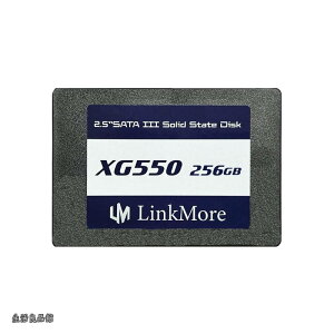 �y���������zXG550 256GB 2.5�C���` ����SSD SATAIII 6Gb/s (�ő�Ǎ�500MB/s)