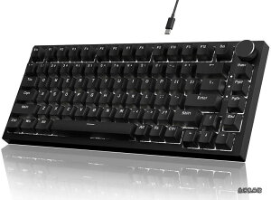 �y���������zSHARK x AJAZZ AK820 �Q�[�~���O�L�[�{�[�h �L��USB-C �e���L�[���X 82�L�[ 75% ANSI�z�� TKL ���J�j�J���L�[�{�[�h �z�b�g�X���b�v �Ԏ� ���j�A�X�C�b�` 3/5�s���z�b�g �A���`�S�[�X�g �K
