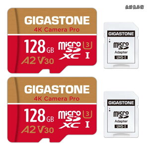 �y���������z�}�C�N��sd�J�[�h 128GB 2�Z�b�g 4K Camera Pro microSDXC UHS-I A2 V30 U3 C10 100MB/s Ultra HD 4K �r�f�I�^�� Gopro �C���X�^360 �A�N�V�����J���� �X�|�[�c�J���� SD�A�_�v�^�[2���t��