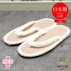 [֔ { ^In@Xbp LTCY r[`T_Xbp R` ͖k ق LH ͓Gv Xbp ̓