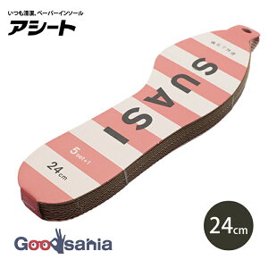 AV[gERoV C\[ XAV p ŉK 5+1 24cm 400021 y[ցz i ~  fB[X 24 f  C pvX Xj[J[ ʋC L j