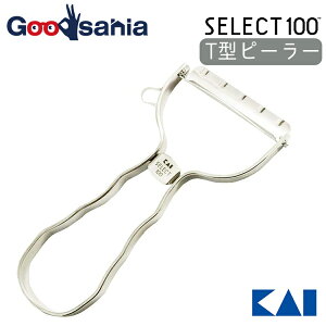 L KAI SELECT100 ZNg100 T^s[[ DH-3000 (  s[[ lC  ނ XeX XCT[ ނ 50mm  炦 )