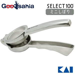 L KAI SELECT100 ZNg100 ~jڂ Vo[ 19.5×7×3cm DH3011 (  i   O[vt[c 䂸 ݂ i ʏ` )