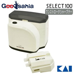 L KAI SELECT100 ZNg100 Xg[N V[vi[ AP0133 (  u V[vi[ d n Аn ؂ꖡ ؂ )