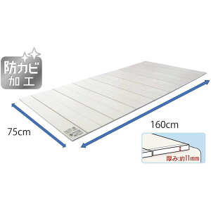 I[G Cӂ RpNg AC{[ 75×160.5cm lNXg ^ X݌v hJr