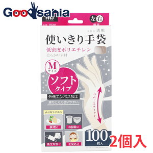 nEXz[hWp g \tg^Cv X[XtBbg  M 100×2pbN HG02