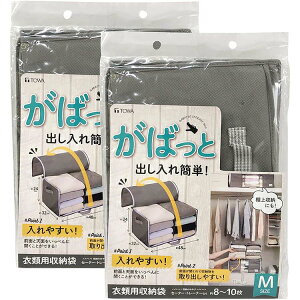 aY ߗ [ oȒP ΂Ǝ[2 O[ MTCY 48×32×24cm 84415 2Zbg