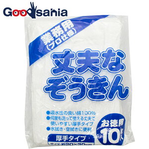   vȎG  Ɩp 100% p zCg 20×30cm(    v wZ w ct ĝ t[O @ | p  10 )