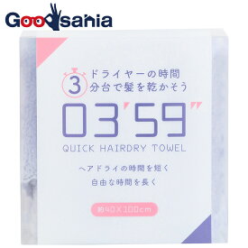 本多タオル フェイスタオル 03'59'' QUICK HAIRDRY TOWEL クイックヘアドライタオル ブルー 約40×100cm ( 速乾 乾きやすい 乾く 吸水 柔らかい ふわふわ 可愛い )