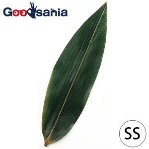 _   100  SS 16850 i     t t o ~ GR t t  t q ĂȂ ʂ ٓ aH ؂܂ j