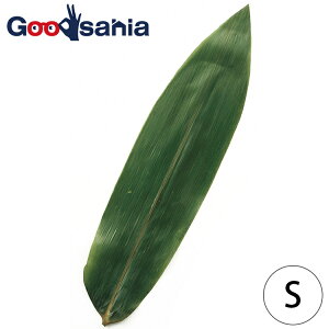 _   100  S 16851 i     t t o ~ GR t t  t q ĂȂ ʂ ٓ aH ؂܂ j