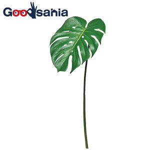 AXJ  Xe O[ S64cm ta32×25cm A-43849-051A i 1{ {  t tFCNO[ A A {   t ʏ j