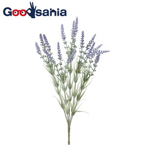 AXJ  x_[ ubV x_[ 35×16cm 10cm A-34299-006 i   k t[AWg A {    p[v j