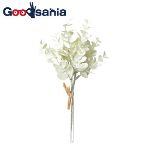 AXJ  ~j[J o` N[O[ S26cm ta1`2cm A-43856-053A 1(3{g) i  t tFCNO[ A {  O[ j