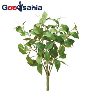 AXJ  [t ubV O[ 30×18cm ta4`6cm A-43908-051A i  t tFCNO[ A A {   t ʏ j