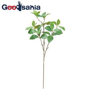 AXJ  [t Xv[ O[ S60cm ta5`7.5cm A-43954-051A i 1{ { t  tFCNO[ A A {   j