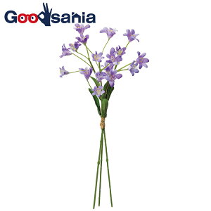 AXJ  ~j Xv[ o` s[`N[ S30cm Ԍa2`3cm A-34375-004C 1(3{g) i k t[AWg  {   t j