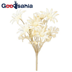 AXJ  tlt[ ubV ڂ x[W S23cm Ԍa7cm A-34410-008 i k t[AWg A {    x[W j