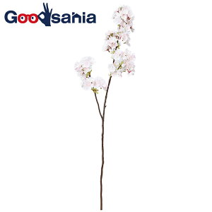 AXJ   zCgsN S70cm Ԍa2.5`4cm A-34281-001P i   t TN a t[AWg A {    sN j