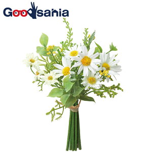 AXJ  ~bNXt[ o` zCg 20×10cm A-34285-001 i ԑ k t[AWg XbO A {    zCg j