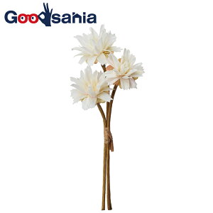 AXJ  ~jt[ o` N[zCg S29cm Ԍa6.5cm A-34393-011 1(3{g) i ԑ k t[AWg A   zCg j