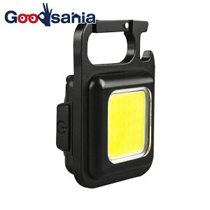 TV LEDCg RITEX [d }`LEDCg 6W^ ubN 6.1×4.5×2cm COB-WL001 ( 邢 [d [d ^  Lv 𔲂 ^ )