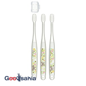 XP[^[ NAuV 3{Zbg y p 3`5 z gg vc S14.5cm TBCR5T ( uV Zbg  炩 t qǂp  gg )