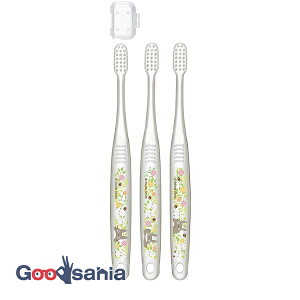 XP[^[ NAuV 3{Zbg y wp 6`12 z gg vc S15.5cm TBCR6T ( uV Zbg  w t qǂp gg )