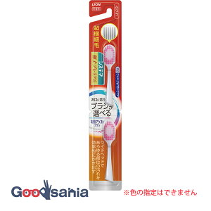 CI dAVXguV tփuV VXe} ɏ v~A ӂ 2{ ( duV ւuV )