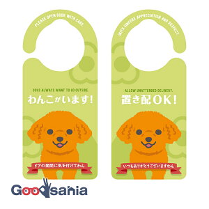 wLTS hAmuv[g uz 񂱂܂ v[h { 20.7×9.2×0.9cm 1100 ( hATC hAv[g  uz z{bNX s   )