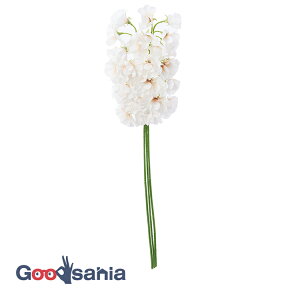 AXJ  XCgs[o` AC{[zCg S:43cmAԌa:3`5cm 1(3{g) A-34495-091W ( {  t[AWg   )