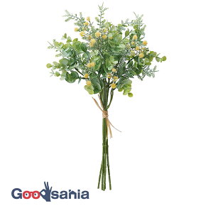 AXJ  ~bNXt[o` CG[ S:37cmA:20cm A-34548-010 ( A {  t[AWg  OB  i )