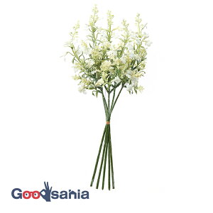 AXJ  x_[Z[Wo` N[zCg S:40cmA:17cm 1(5{g) A-34551-011 ( A { x_[ t[AWg  )