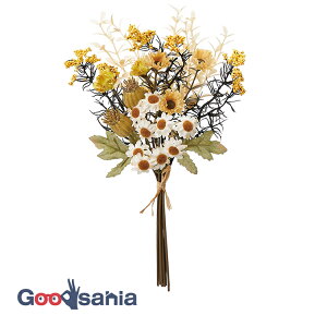 AXJ  ~bNXt[o` ~bNX S:27cmA:14cm A-34510-046 ( A {  hCt[ hC  OB  i )