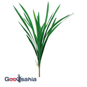 AXJ  I[Lbh[t O[ S:57cmA:60cm A-44137-051A ( A { t [t tFCNO[ ϗtA  m )