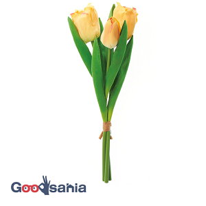 AXJ  `[bvo` CG[ S:29cmAԌa:3×5cm 1(3{g) A-34513-010 ( A {  t[AWg  OB  )