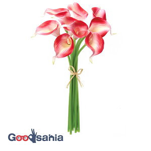 AXJ  J[Bo` r[eBN[ S:35cmAԌa:5.5×5×8.5cm 1(9{g) A-34592-022C ( {  t[AWg )