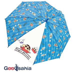 WFCYvjO P ot N񂿂 NbLO u[ e55cm 35189 ( P 55Z` ^b` Wv  킢 LN^[  )