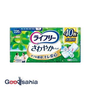 yҏIő400~OFFN[|zzzCt[ ₩pbh ɑ1ňSp 220cc 34cm 40 ( yx   A  )