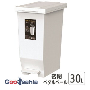 AXx S~ GoMP y_y[ { zCg 30L A6301-09 ( ݔ y_ y_ 30bg  ӂt pbL   )