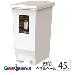 AXx S~ GoMP y_y[ { zCg 45L A6302-09 ( ݔ y_ y_ 45bg 傫 傫  ӂt pbL   )