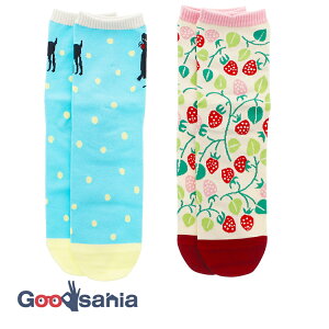 yҏIő400~OFFN[|zzzC C N[\bNX Ƃ Eʍ˂ sN u[ 23`25cm 2Zbg ( N[ N[\bNX ӂ͂ a  23